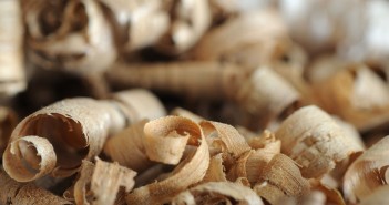 A Cecina nasce il primo impianto geotermico a biomassa del mondo Biomasse (foto: http://www.energia-ambiente.unibo.it/)