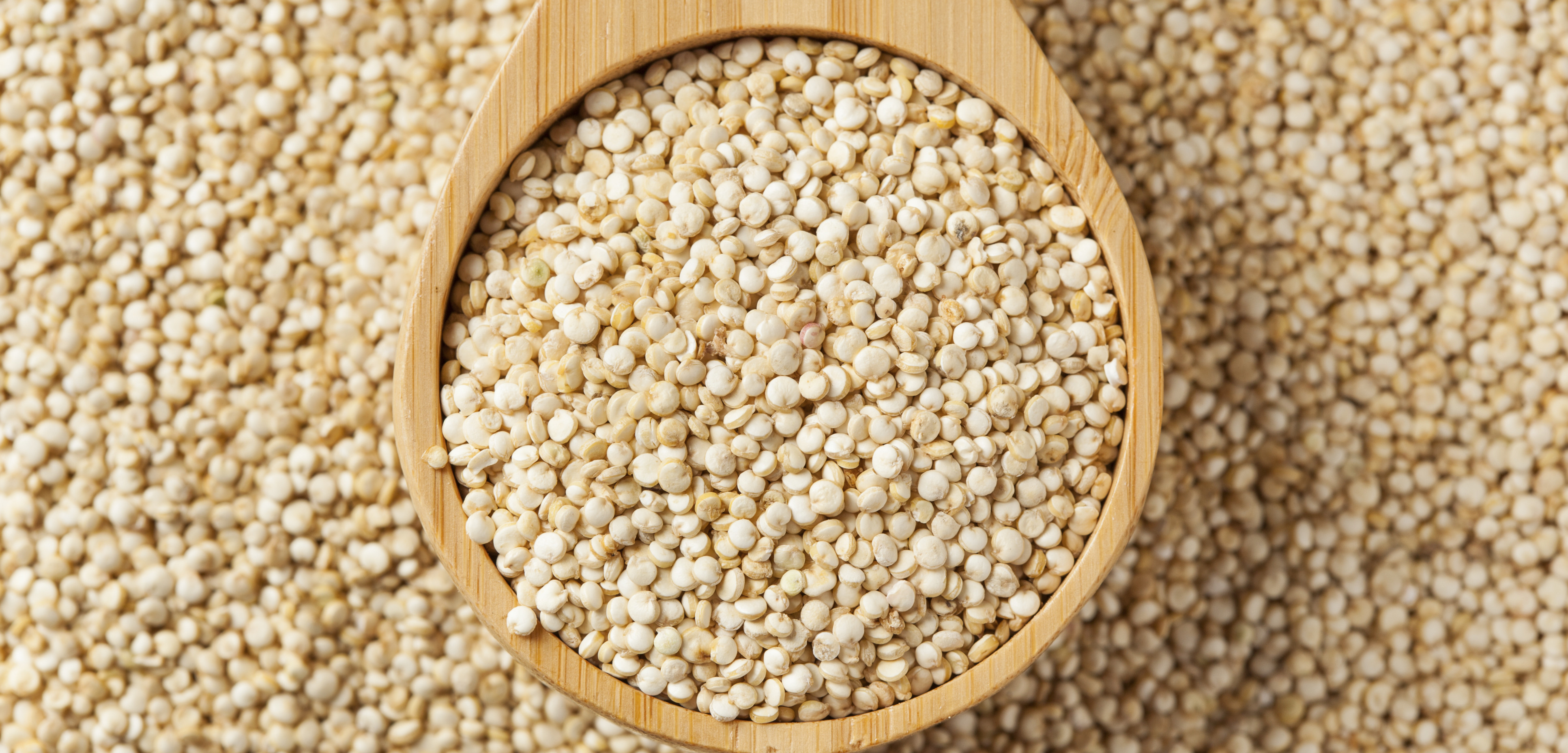 4 gustose ricette a base di quinoa Green.it