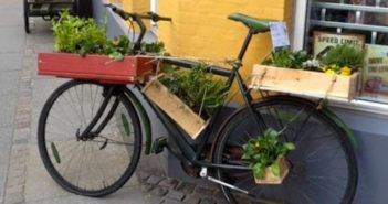 In Danimarca le biciclette abbandonate diventano orti urbani bici orti
