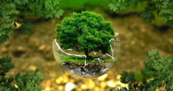 Myron Ebell: ecco perché gli Usa bloccano le politiche green Politiche green
