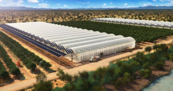 Agricoltura nel deserto: la Giordania introduce il Sahara Forest Project Agricoltura nel deserto: la Giordania introduce il Sahara Forest Project