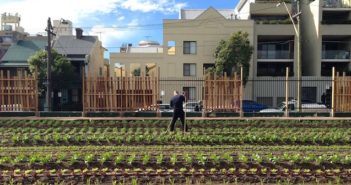 Progetti di agricoltura urbana: un modello di business sostenibile