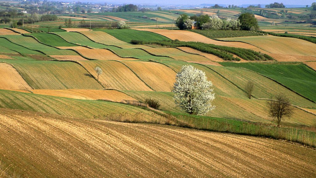 Un campo arato