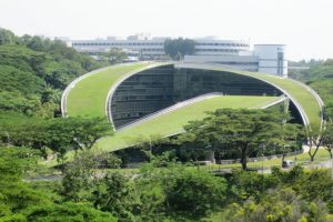 Il nuovo edificio dell'università di Singapore