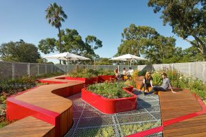 I tetti verdi dell'Università di Melbourne