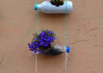 Le bottiglie di plastica diventano oggetti di design