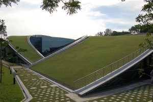 Il nuovo edificio dell'università di Singapore