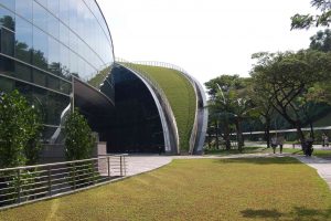 Il nuovo edificio dell'università di Singapore