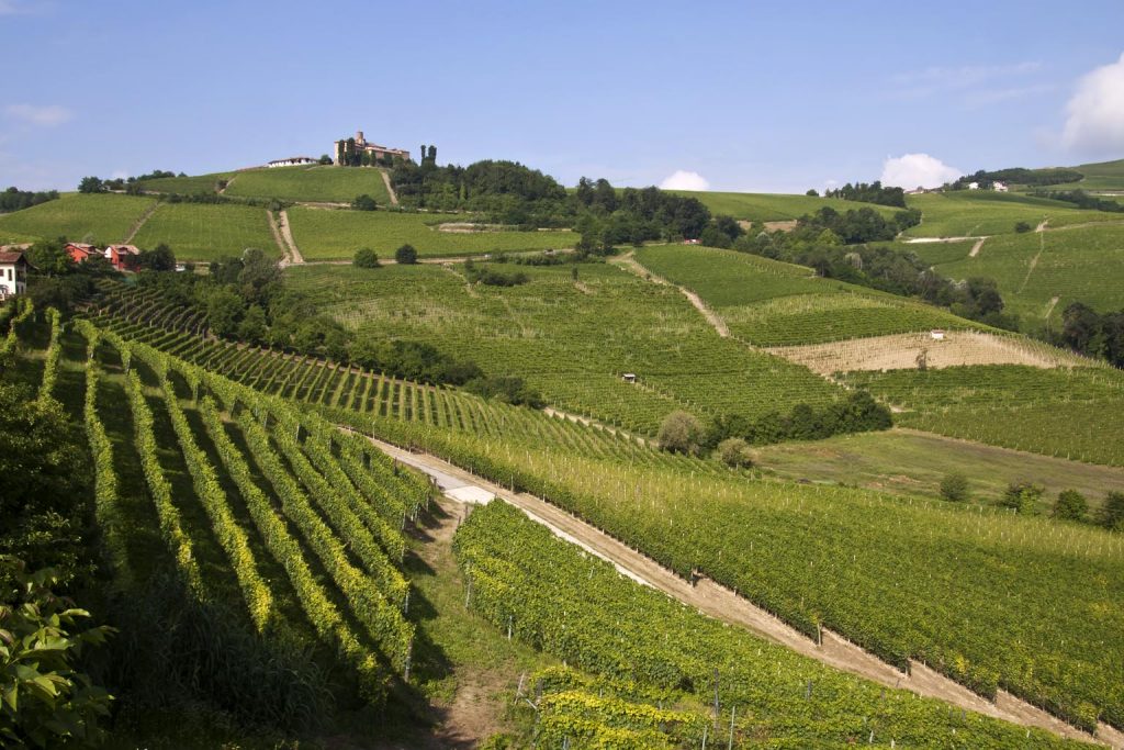 Un paesaggio delle Langhe