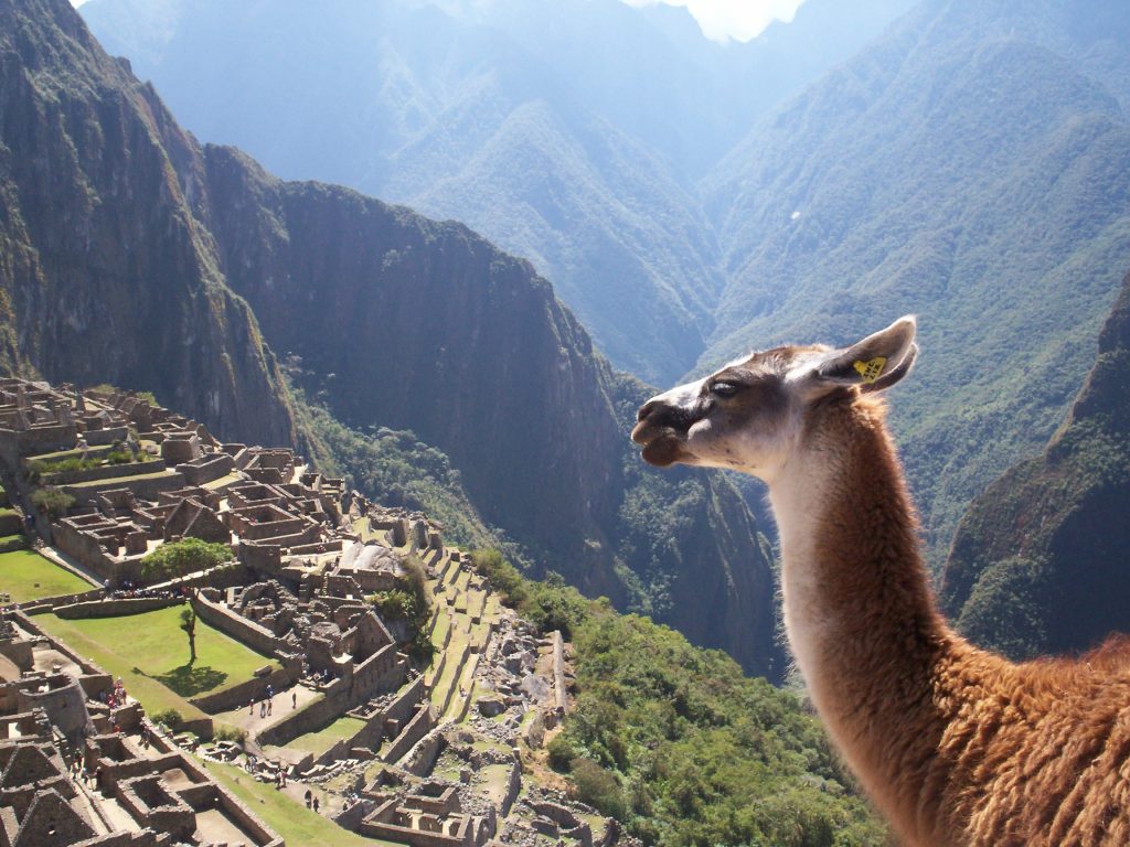 Machu Picchu, Perù