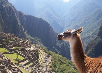 Machu Picchu, Perù