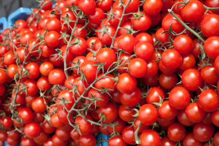Pomodori
