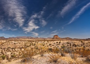 Uno spray cinese promette di rendere fertili i terreni desertici