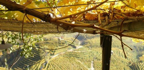 Un paesaggio della Valdobbiadene