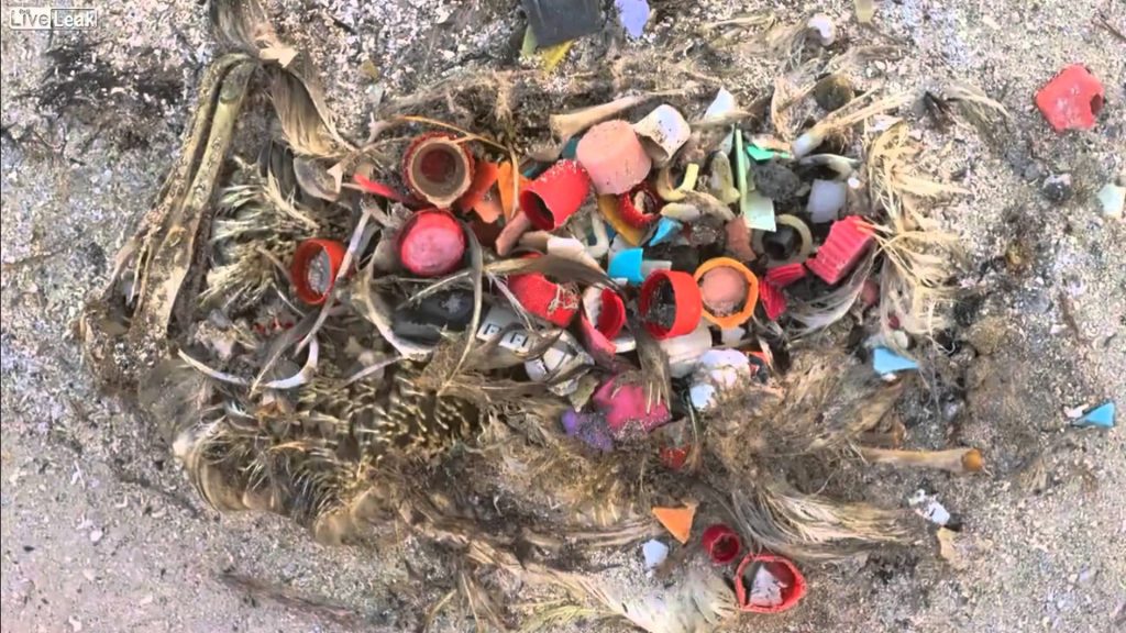 Rifiuti su una spiaggia