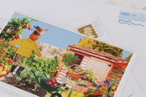 Postcarden, le cartoline vegetali