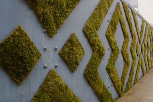 Moss graffiti