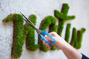 Moss graffiti