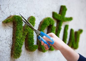 Moss graffiti