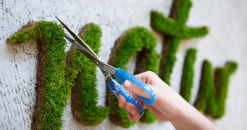 La città diventa verde grazie ai graffiti ecologici Moss graffiti