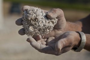 Il materiale con cui è stata realizzata la cantina dell'azienda agricola Chateau Maris