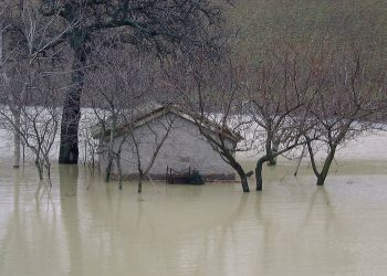 Una casa semi-sommersa dall'acqua