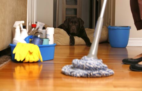 Pulizie domestiche