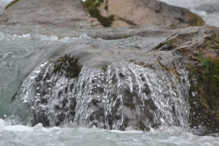 Acqua