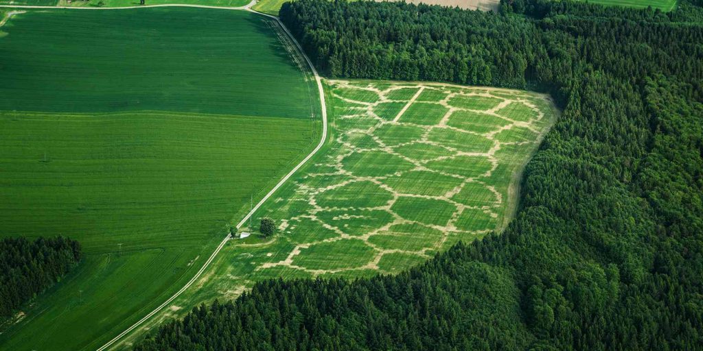 Un esempio di agricultural printing