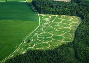 Un esempio di agricultural printing