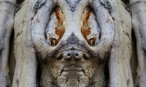 Una delle Dream Creatures del fotografo Elido Turco