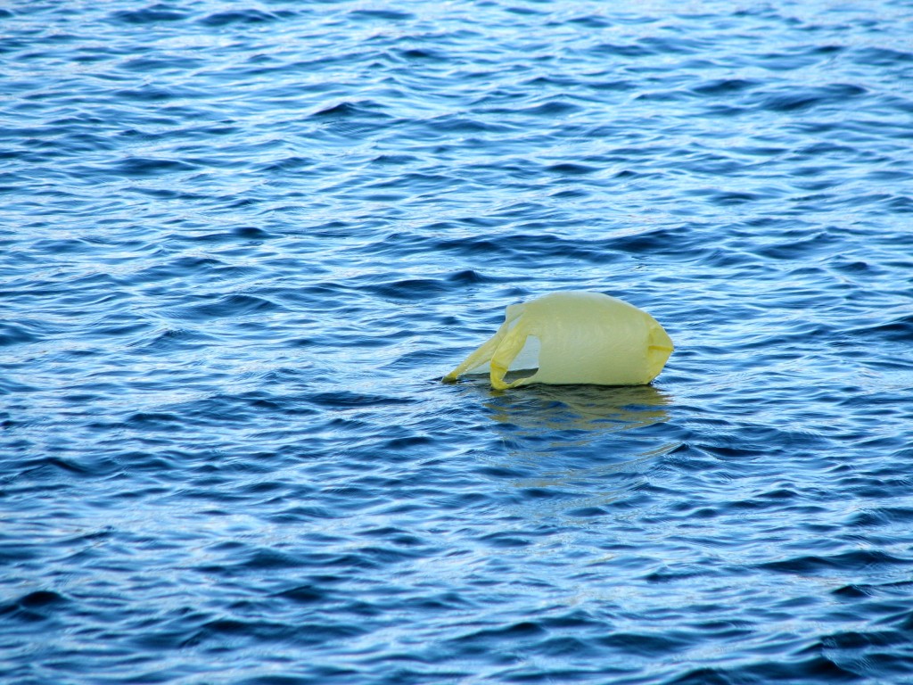 Una borsa di plastica alla deriva in mezzo al mare