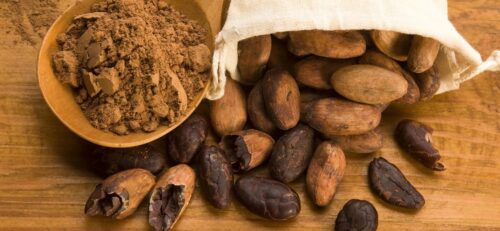 Fave di cacao (foto: http://www.culturaeculture.it/)