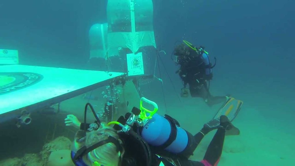 L'orto di Nemo a Noli Ligure (foto: youtube.com)