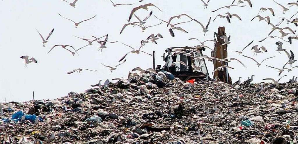 Una discarica (foto: provincialista.it)