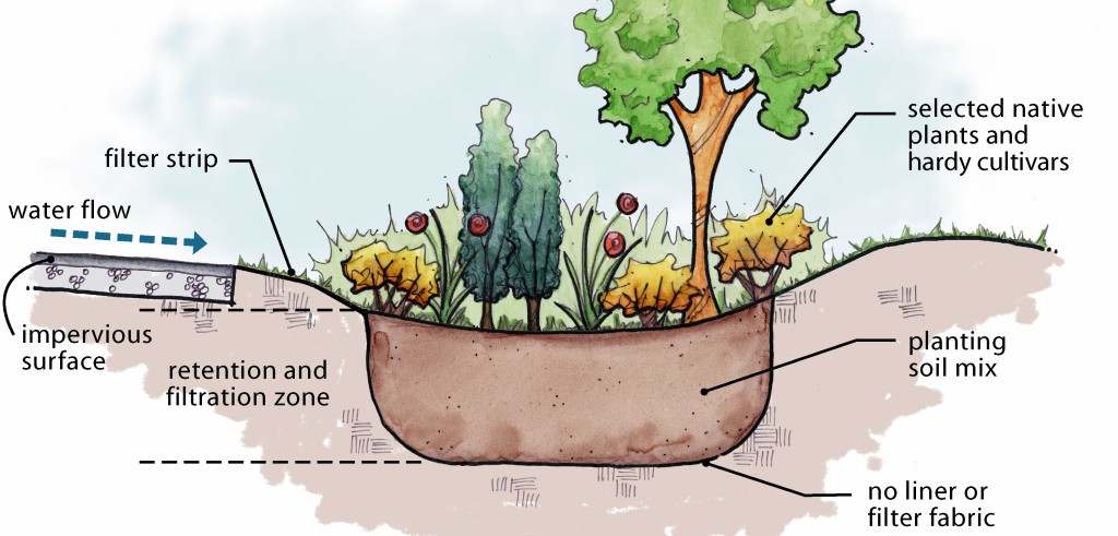 Lo schema di funzionamento dei Rain Garden (foto: http://www.betterground.org)