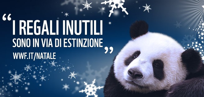 Wwf A Natale Adotta Una Specie A Rischio Green It