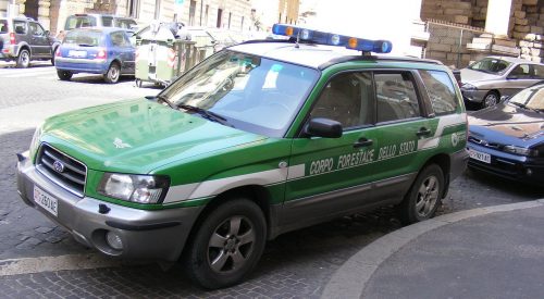 Un'automobile del Corpo Forestale dello Stato (foto: wikimedia.org)