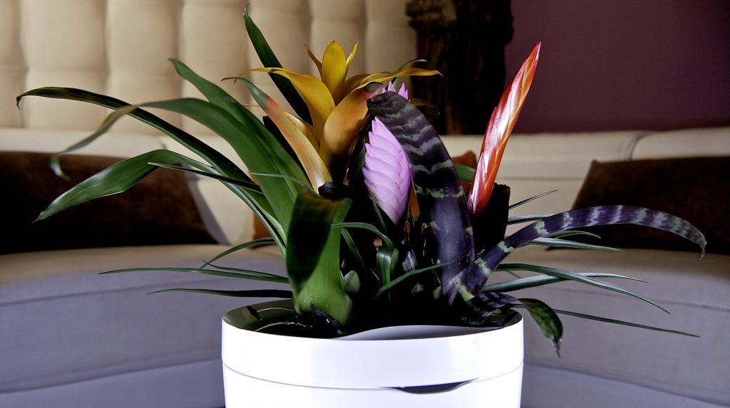 Il vaso tecnologico Parrot Pot (foto: parrot.com)