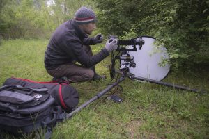 Il micromondo fotografato da Alberto Ghizzi Panizza