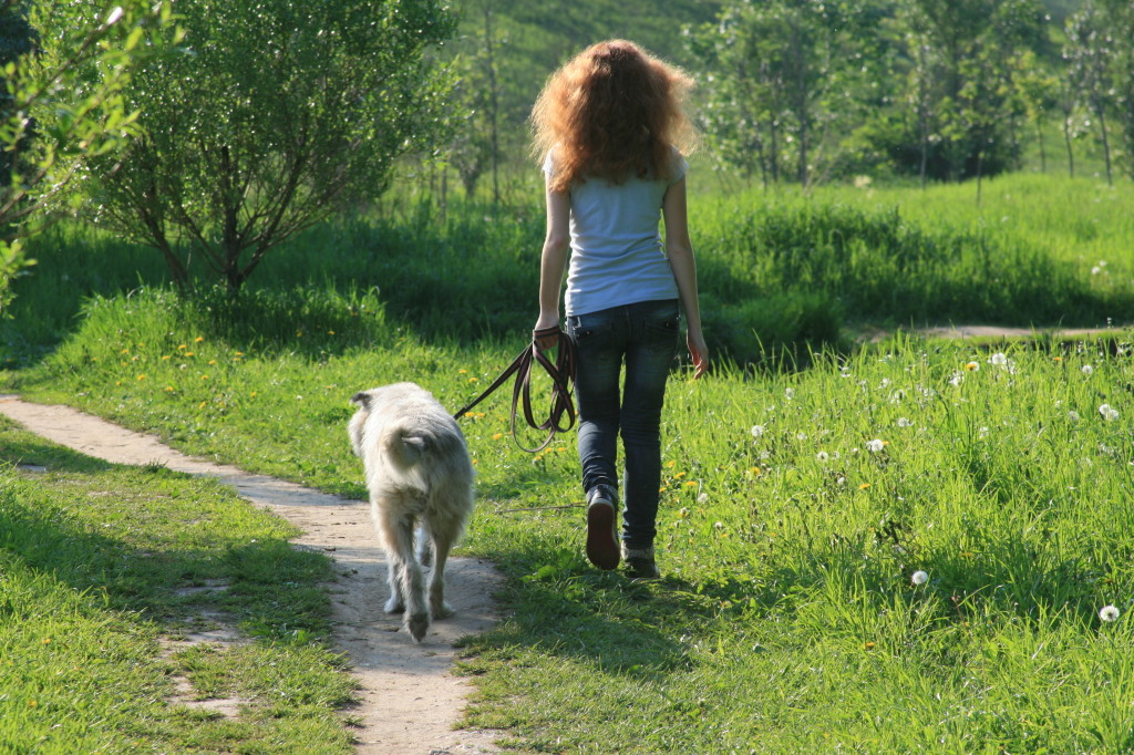 Una ragazza passeggia col suo cane (foto: it.gde-fon.com)