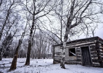 Un paesaggio siberiano (foto: hdrwallpapers.com)