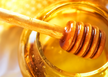 Un vasetto di miele (foto: http://today.tamu.edu/)