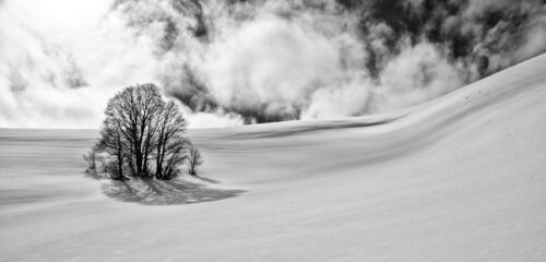Il solitario - Matteo Senesi - Paesaggio PNALM