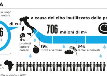Un'infografica della Fondazione Barilla sullo spreco d'acqua