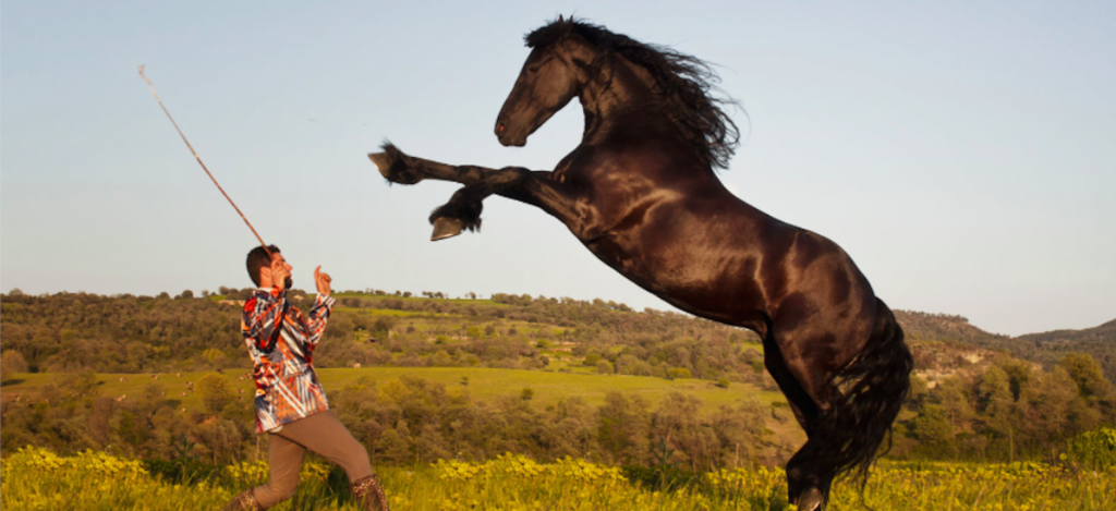 Un cavallo con il suo domatore (foto: www.vanityfair.it)