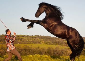Un cavallo con il suo domatore (foto: www.vanityfair.it)