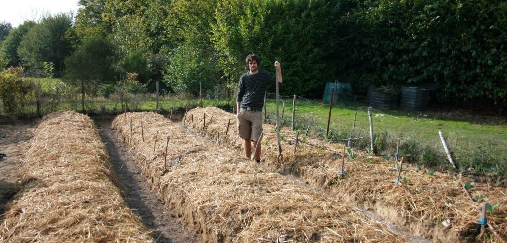 Un orto coltivato con agricoltura sinergica