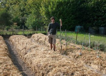 Un orto coltivato con agricoltura sinergica