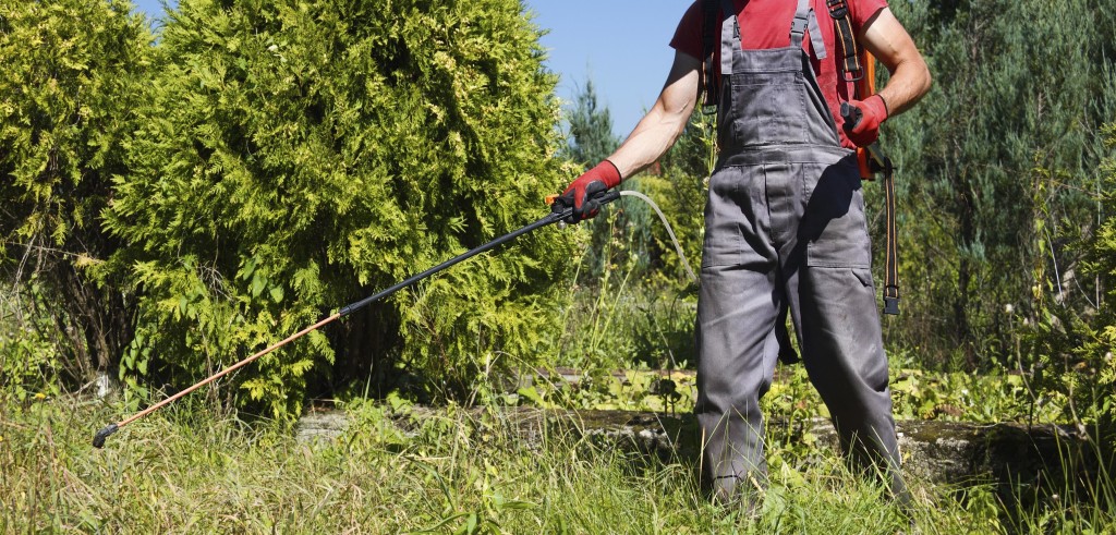 Un agricoltore intendo a spargere il diserbante (foto: faidatemania.pianetadonna.it)